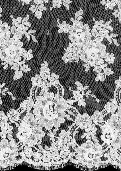 CORDED FRENCH LACE - IVORY